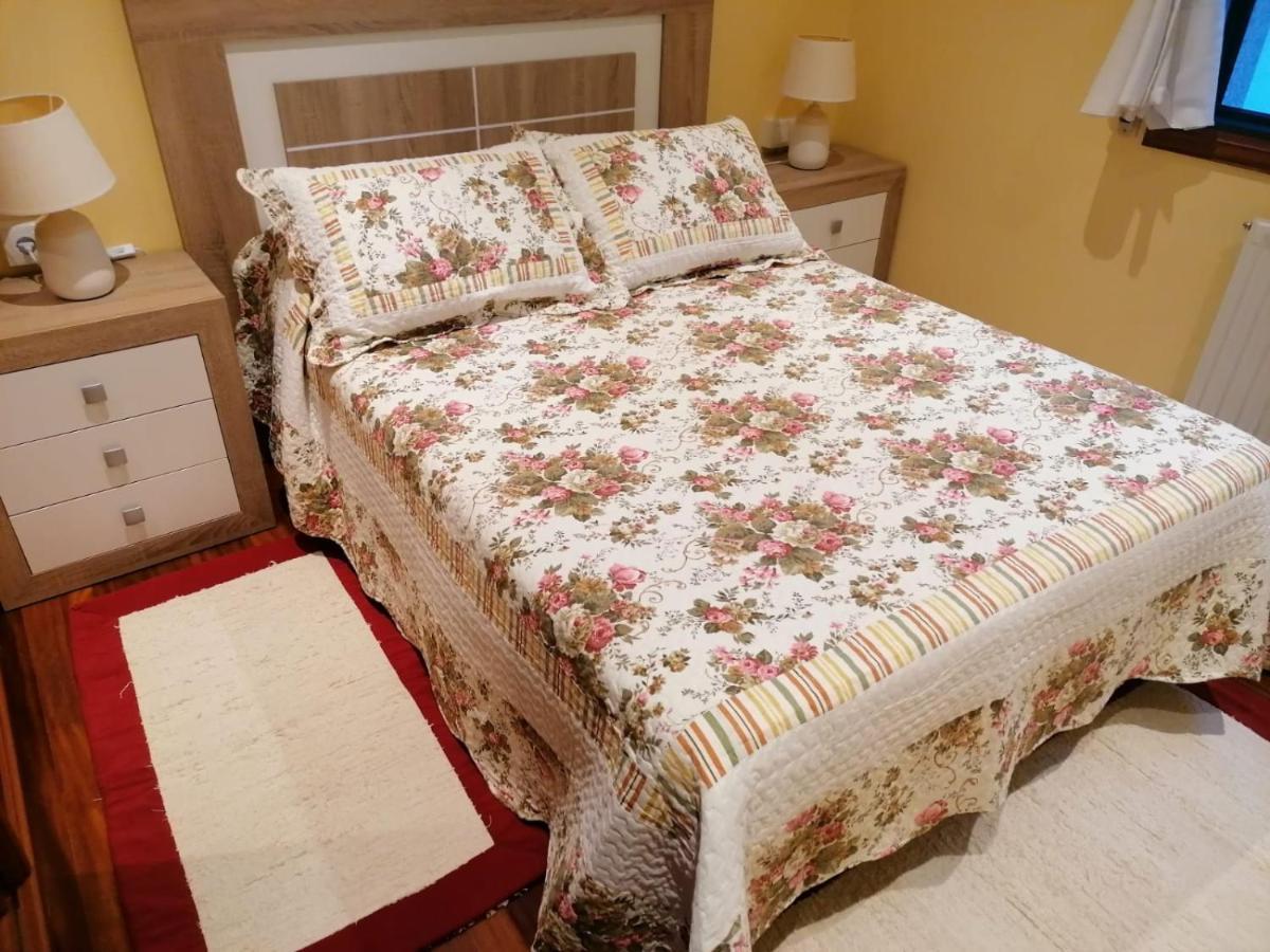 Apartament Piso As Camelias Pontevedra Zewnętrze zdjęcie