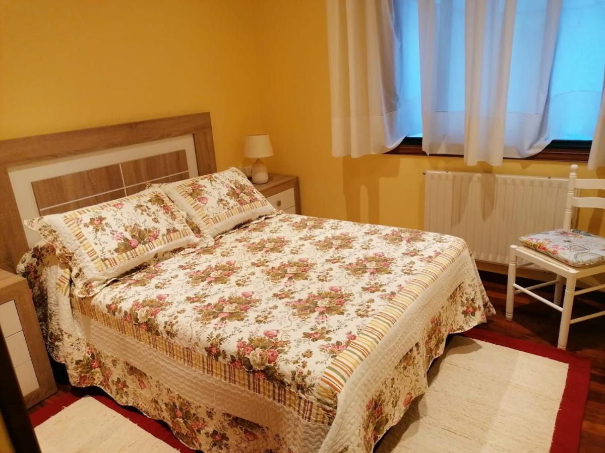Apartament Piso As Camelias Pontevedra Zewnętrze zdjęcie